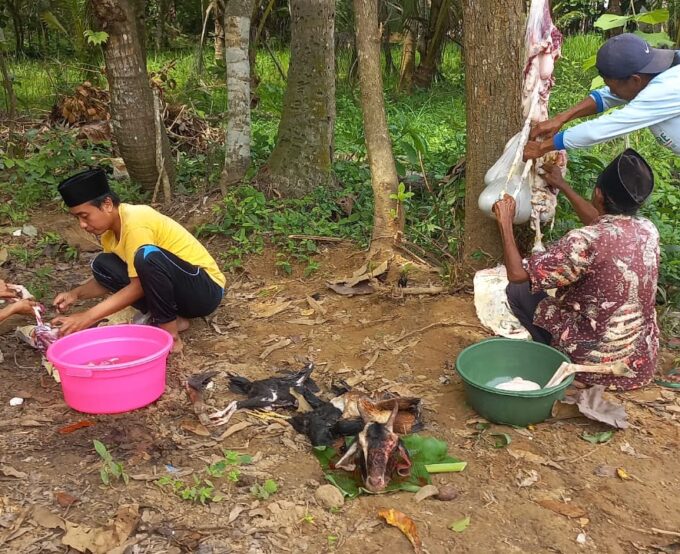 Pemotongan Kambing dan Ayam Tandai Selamatan Gedung Baru MA Nasy-atul Muta’allimin